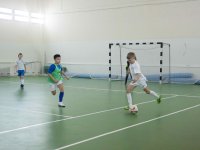 IMG_2286